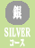 SILVERコース