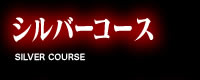 シルバーコース
