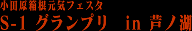 小田原箱根元気フェスタ　S-1 グランプリ　in 芦ノ湖