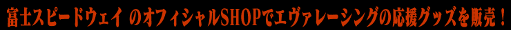エヴァンゲリオン	レーシング応援席グッズイベント